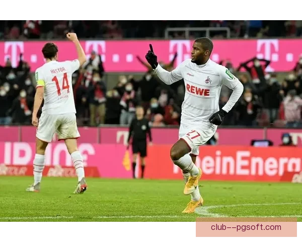 弗赖堡主场草坪质量获德甲职业球员协会高度赞誉